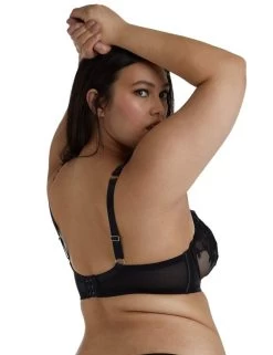 PPCC3183 Playful Promises Anneliese Curve Lace Bra - PPCC3183 Black